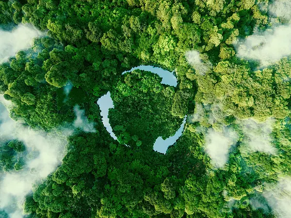 Wald aus Vogelperspektive mit sich drehenden Pfeilen als Recyclingsymbol